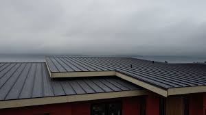 Steel Roofing in Port Lavaca, TX